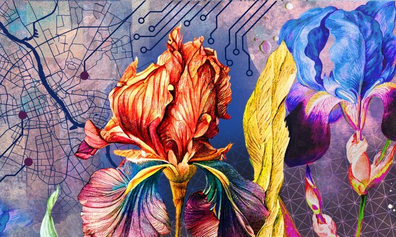 mural-irys
